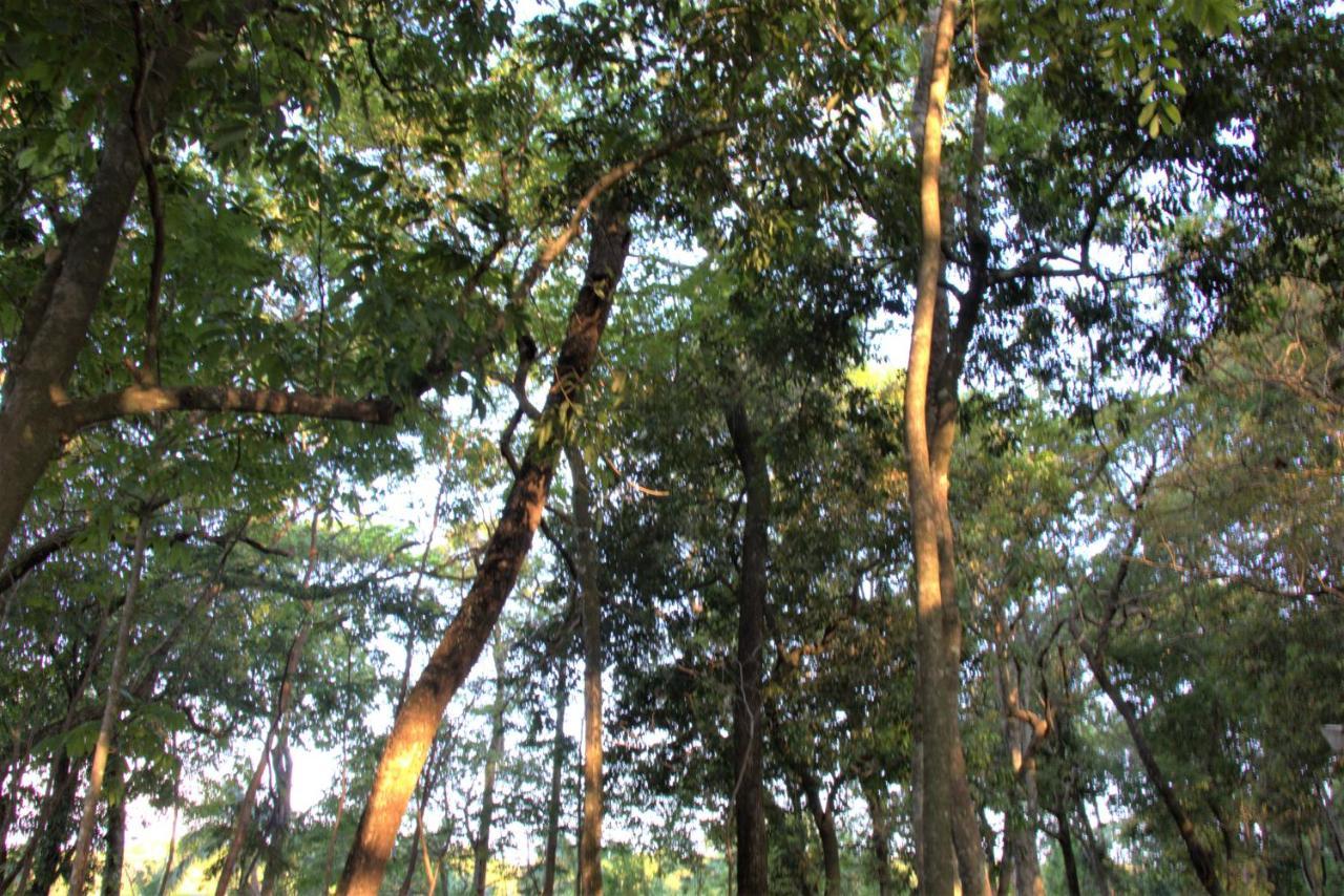 Villa Casa Unica Com Piscina E Lareira A 1,2 Km Do Centro à Chapada dos Guimarães Extérieur photo